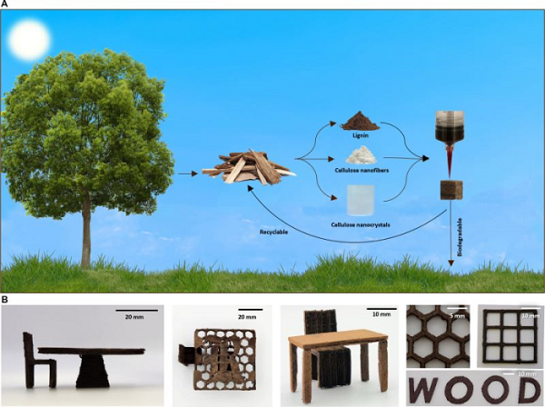 Biến phế liệu gỗ thành mực in 3D: Sự đột phá trong ngành nội thất